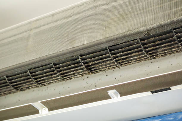 Best Air Duct Cleaning Near Me in Elizabeth Lake, CA